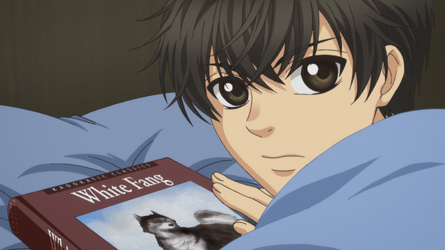 SUPER LOVERS