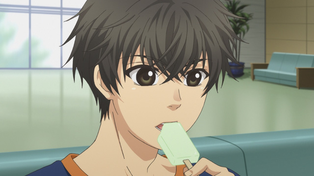 SUPER LOVERS 2