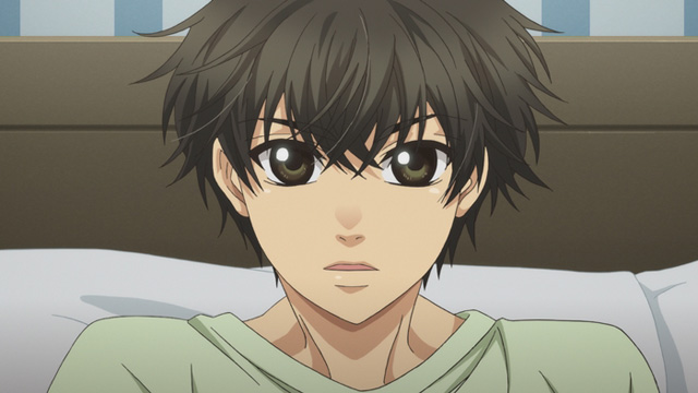 SUPER LOVERS 2