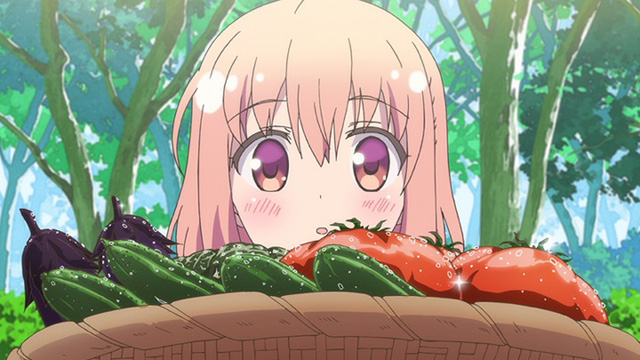 ひなこのーと