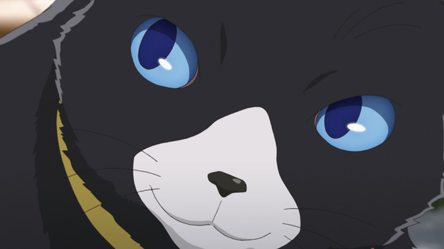 PERSONA5 the Animation