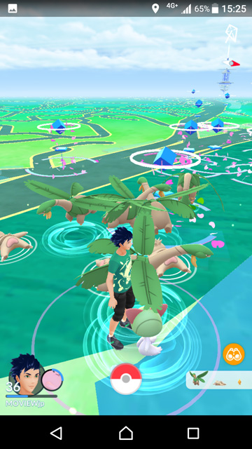 Pokémon GO Safari Zone in YOKOSUKA