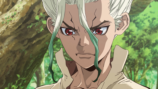 Ｄｒ．ＳＴＯＮＥ