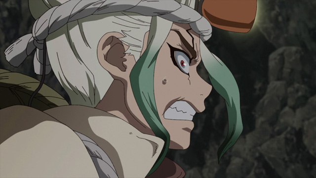 Ｄｒ．ＳＴＯＮＥ