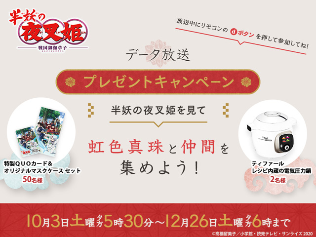 半妖の夜叉姫