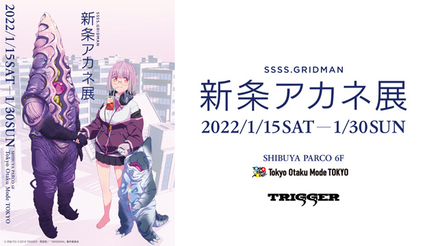 新条アカネ展