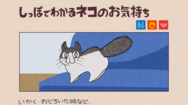 夜は猫といっしょ