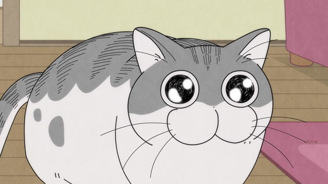 夜は猫といっしょ