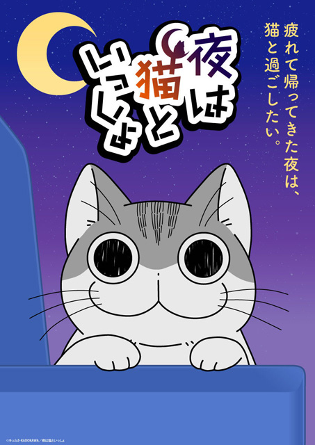 夜は猫といっしょ