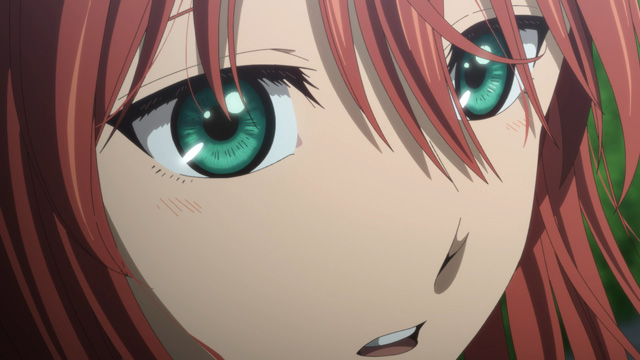 魔法使いの嫁 SEASON2