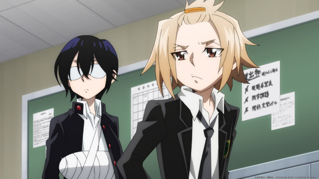 SHAMAN KING FLOWERS