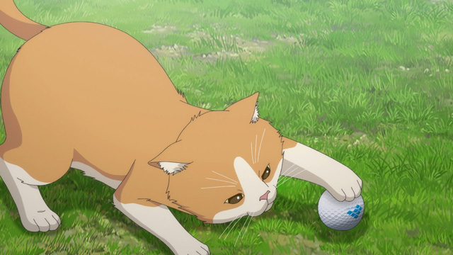 オーイ！とんぼ