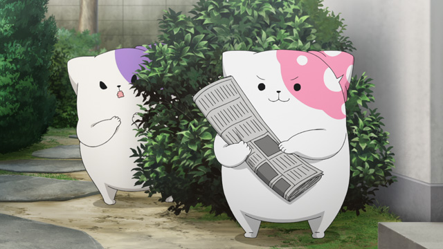 きのこいぬ