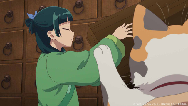 薬屋のひとりごと