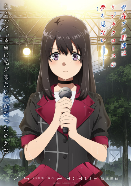 青春ブタ野郎はサンタクロースの夢を見ない