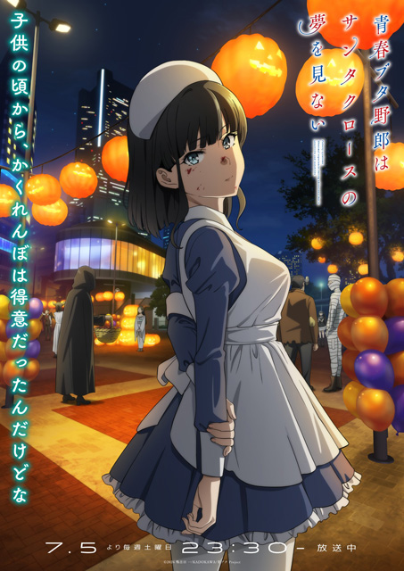 青春ブタ野郎はサンタクロースの夢を見ない