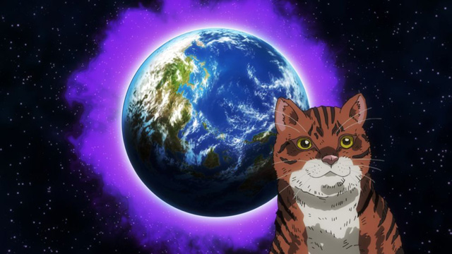 ニャイト・オブ・ザ・リビングキャット
