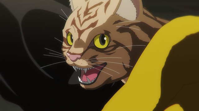 ニャイト・オブ・ザ・リビングキャット