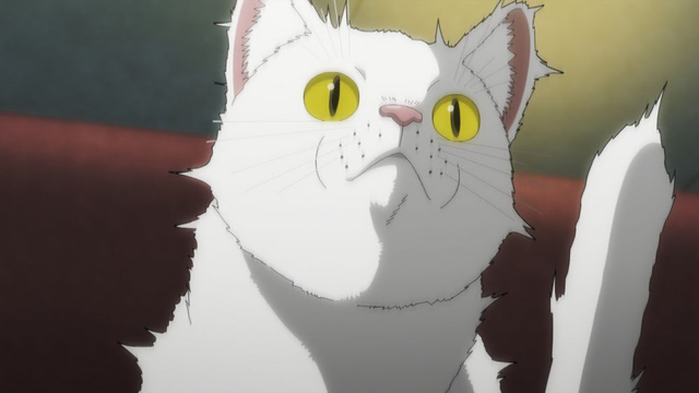 ニャイト・オブ・ザ・リビングキャット