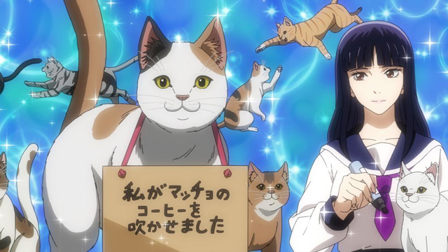 ニャイト・オブ・ザ・リビングキャット