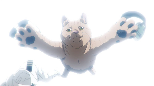 ニャイト・オブ・ザ・リビングキャット