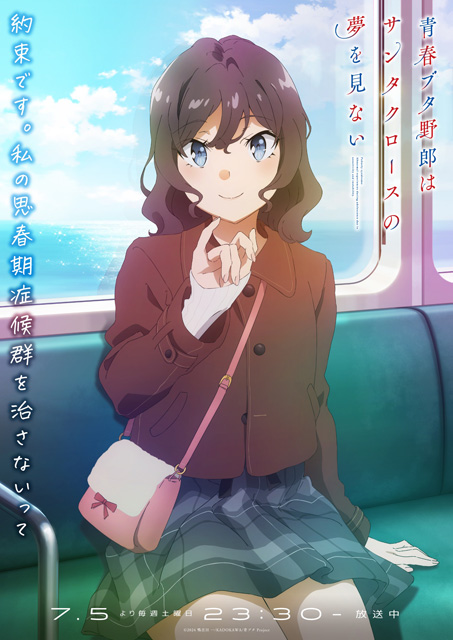 青春ブタ野郎はサンタクロースの夢を見ない