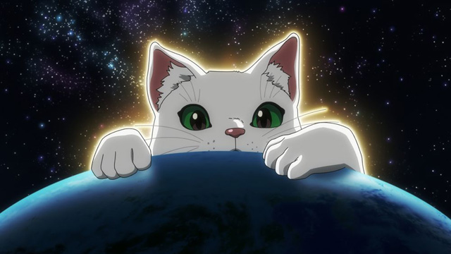 ニャイト・オブ・ザ・リビングキャット