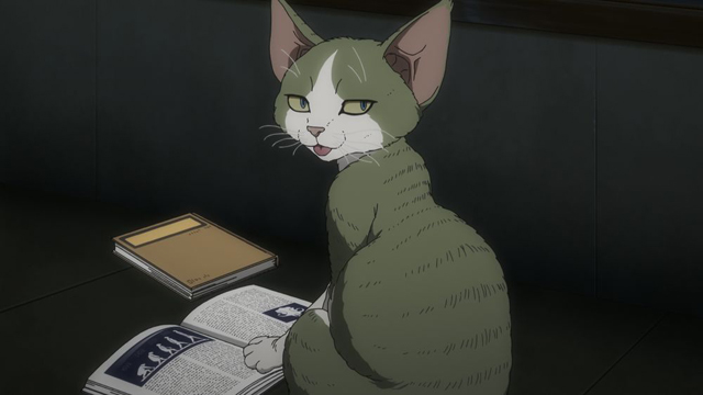 ニャイト・オブ・ザ・リビングキャット