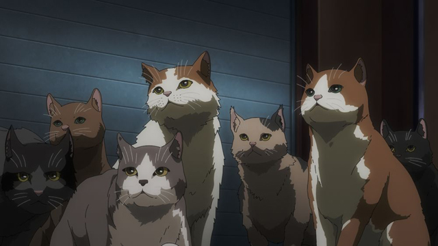 ニャイト・オブ・ザ・リビングキャット