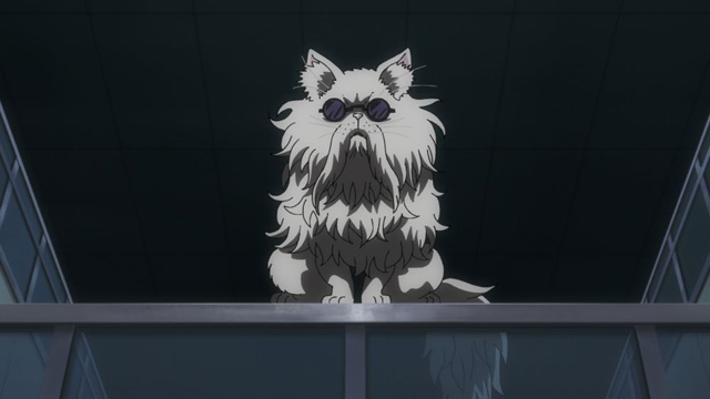 ニャイト・オブ・ザ・リビングキャット