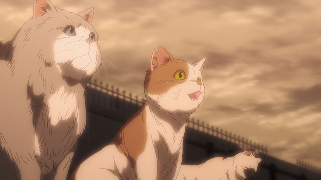 ニャイト・オブ・ザ・リビングキャット