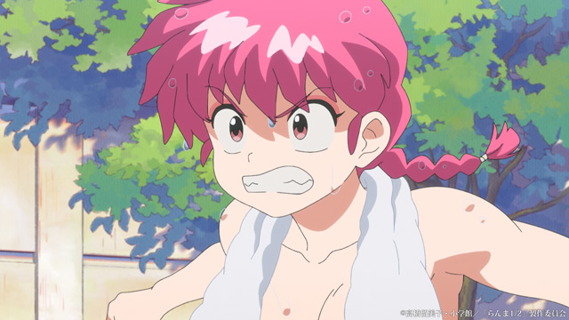 らんま1/2