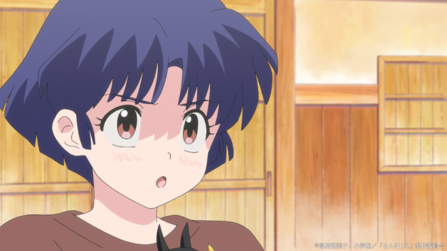 らんま1/2