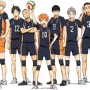 『ハイキュー!!』神谷浩史、名塚佳織ら追加キャスト発表！