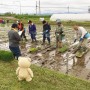 世界最大級!? “超大型テッド”田んぼアート出没! 世界最大級!? “超大型テッド”田んぼアート出没!