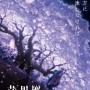 桂正和×小林靖子×西村聡×中山麻聖『薄墨桜 -GARO-』今秋公開！