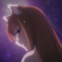『狼と香辛料』第12話 天敵である羊飼いを助けることが受け入れがたいホロ