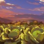 『菜なれ花なれ』最終回 応援はキャベツなんです! 『菜なれ花なれ』最終回 応援はキャベツなんです!