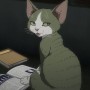 『ニャイト・オブ・ザ・リビングキャット』第7話 ショッピングモールにいた人間の言葉を理解する謎の猫